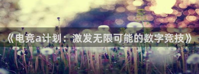 im电竞app官网下载