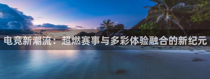 im电竞平台官网下载