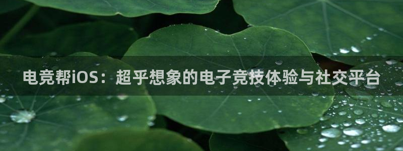 im电竞app官网最新下载：电竞帮iOS：超乎想象的电子竞技体验与社交平台
