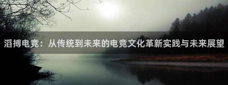 im电竞怎么过关：滔搏电竞：从传统到未来的电竞文化革新实践与未来展望