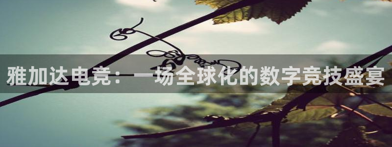 im电竞：雅加达电竞：一场全球化的数字竞技盛宴