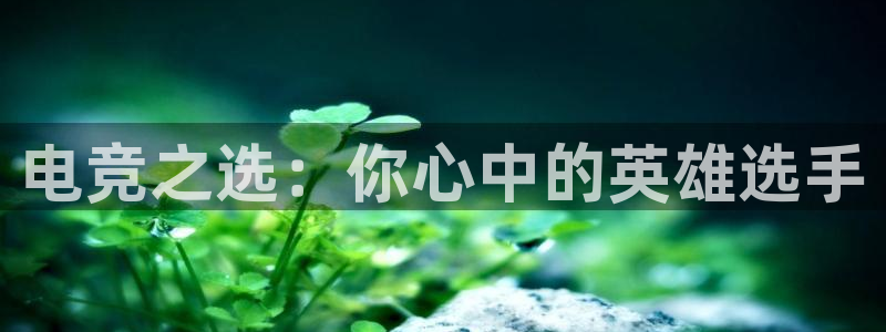 im电竞酒店：电竞之选：你心中的英雄选手