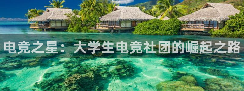 im电竞暨ly79典cn：电竞之星：大学生电竞社团的崛起之路