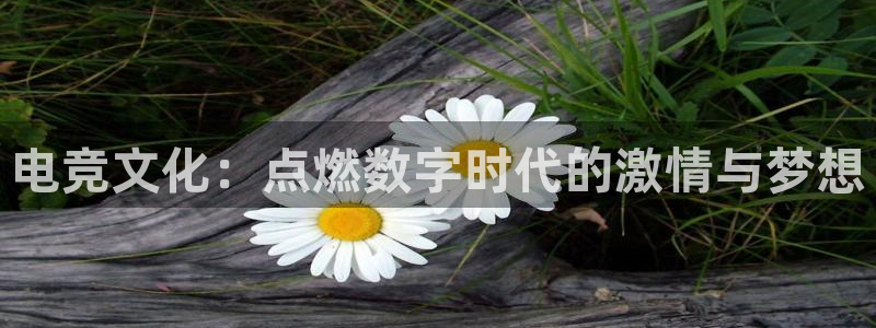 im电竞·(中国)：电竞文化：点燃数字时代的激情与梦想
