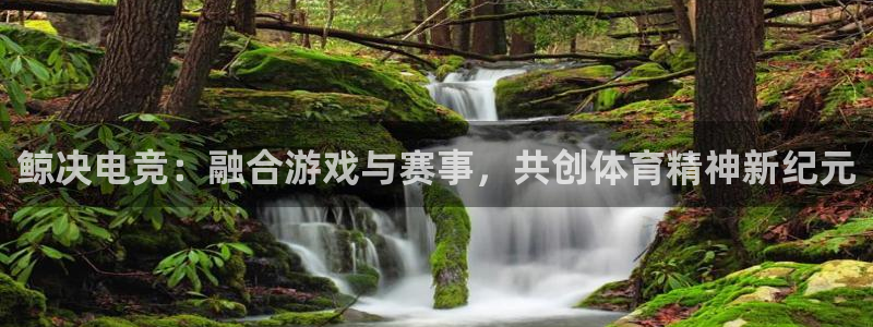 bobim电竞：鲸决电竞：融合游戏与赛事，共创体育精神新纪元