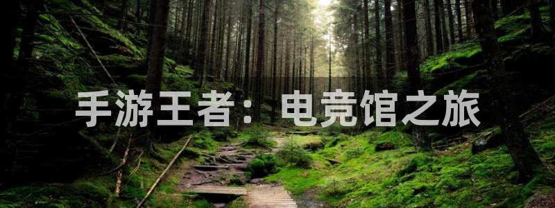 im电竞app|平台下载：手游王者：电竞馆之旅