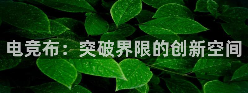 im电竞官方网站入口app下载：电竞布：突破界限的创新空间