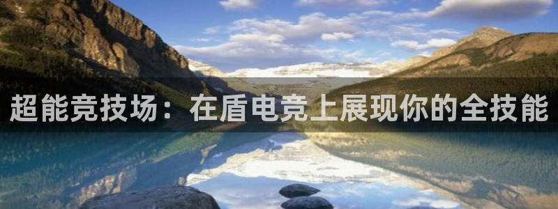 im电竞和泛亚电竞有什么区别