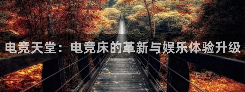 im电竞直播app下载：电竞天堂：电竞床的革新与娱乐体验升级
