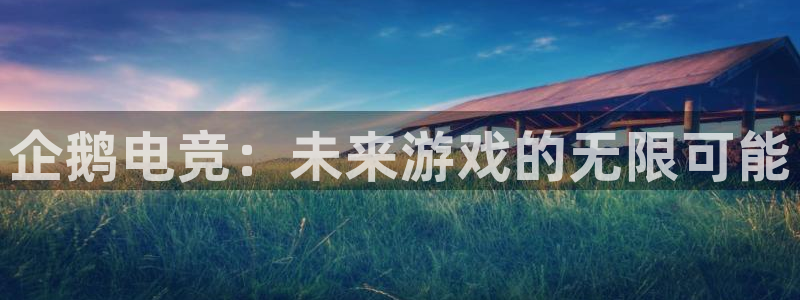 im电竞注册金：企鹅电竞：未来游戏的无限可能